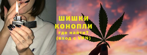 гидра Свободный
