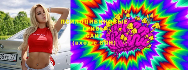 ALPHA PVP Остров