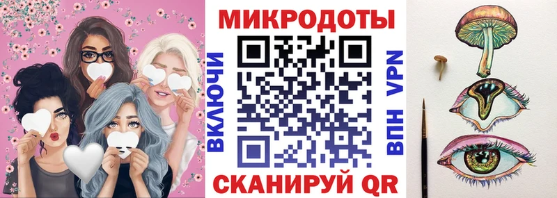 где можно купить   Тайга  Псилоцибиновые грибы Magic Shrooms 