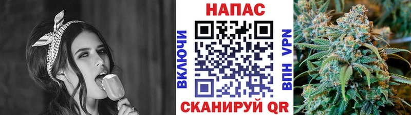 Бошки Шишки гибрид  Тайга 